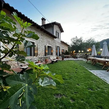 Spacious House In Ogassa With Terrace And Bbq Экстерьер фото