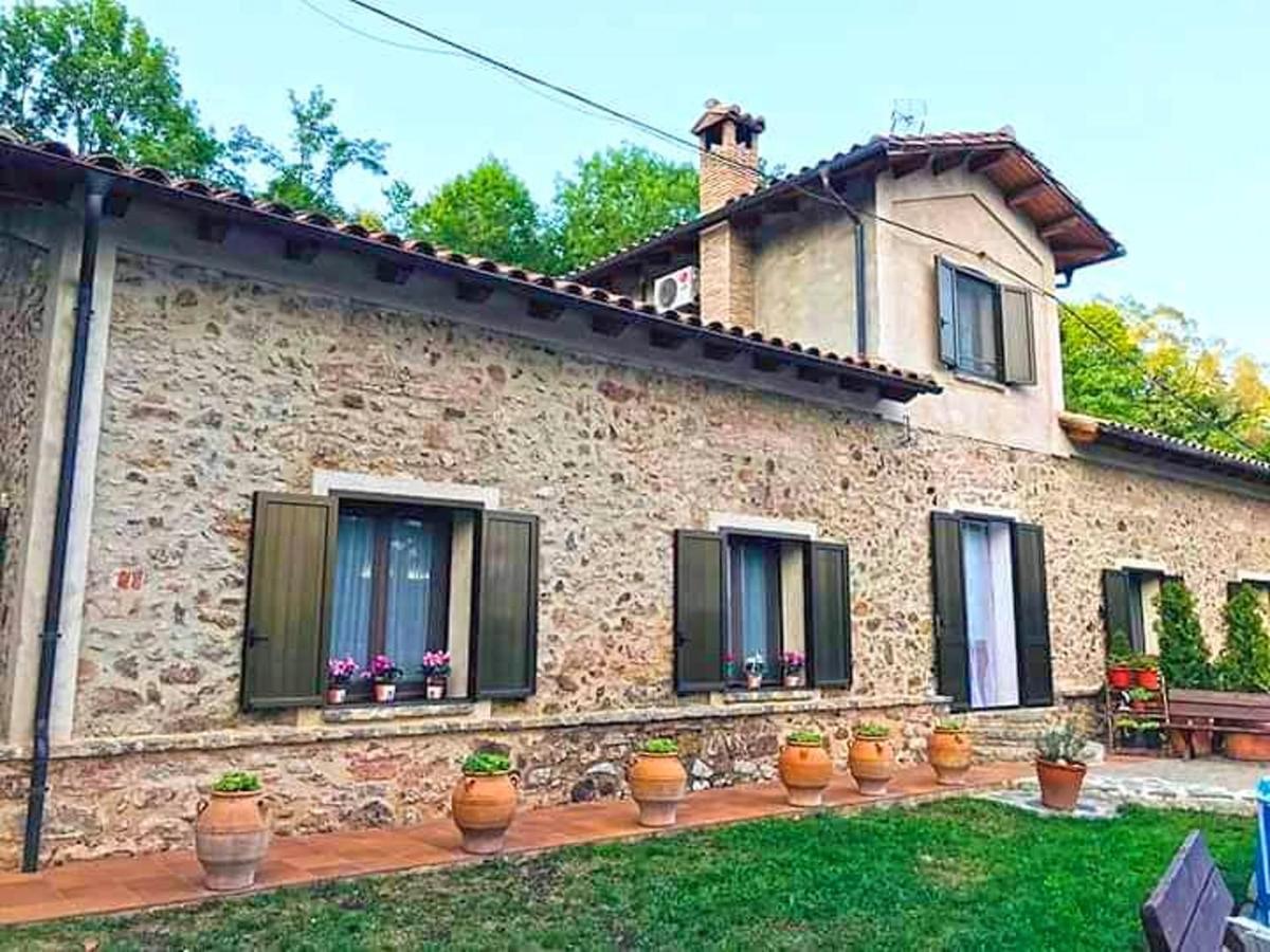 Spacious House In Ogassa With Terrace And Bbq Экстерьер фото